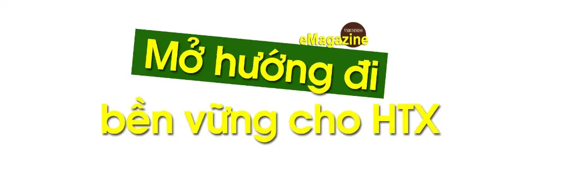 HTX trên đất mỏ và bước chuyển trong tư duy “liên kết trí tuệ”