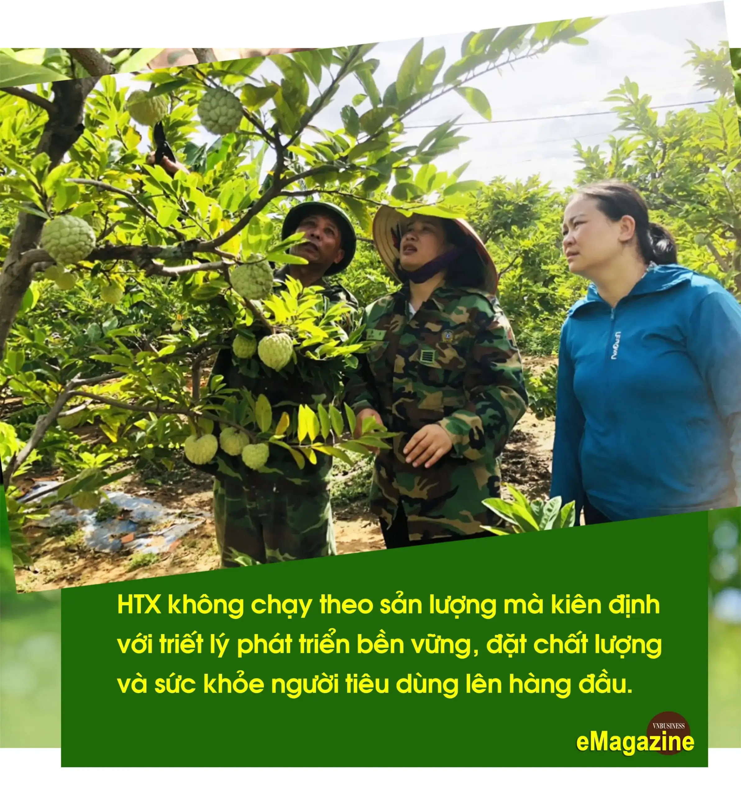 HTX trên đất mỏ và bước chuyển trong tư duy “liên kết trí tuệ”