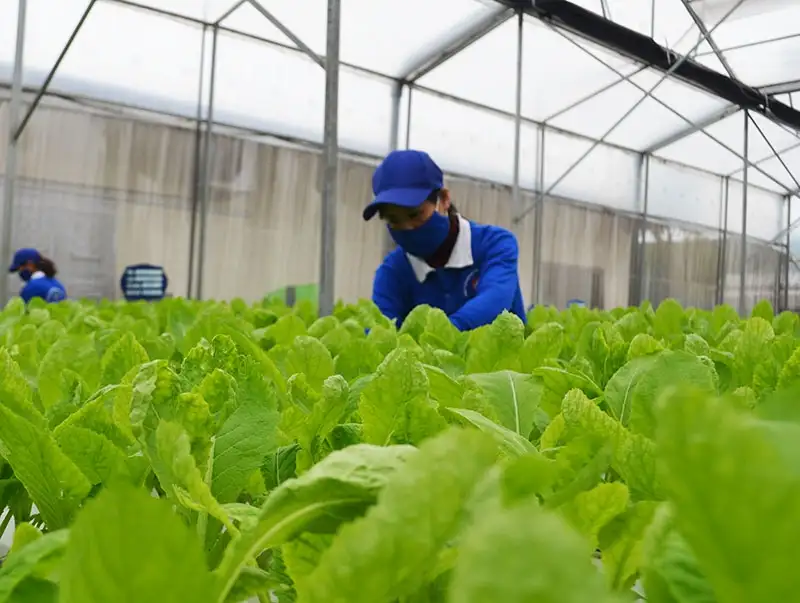 HTX trên đất mỏ và bước chuyển trong tư duy “liên kết trí tuệ”