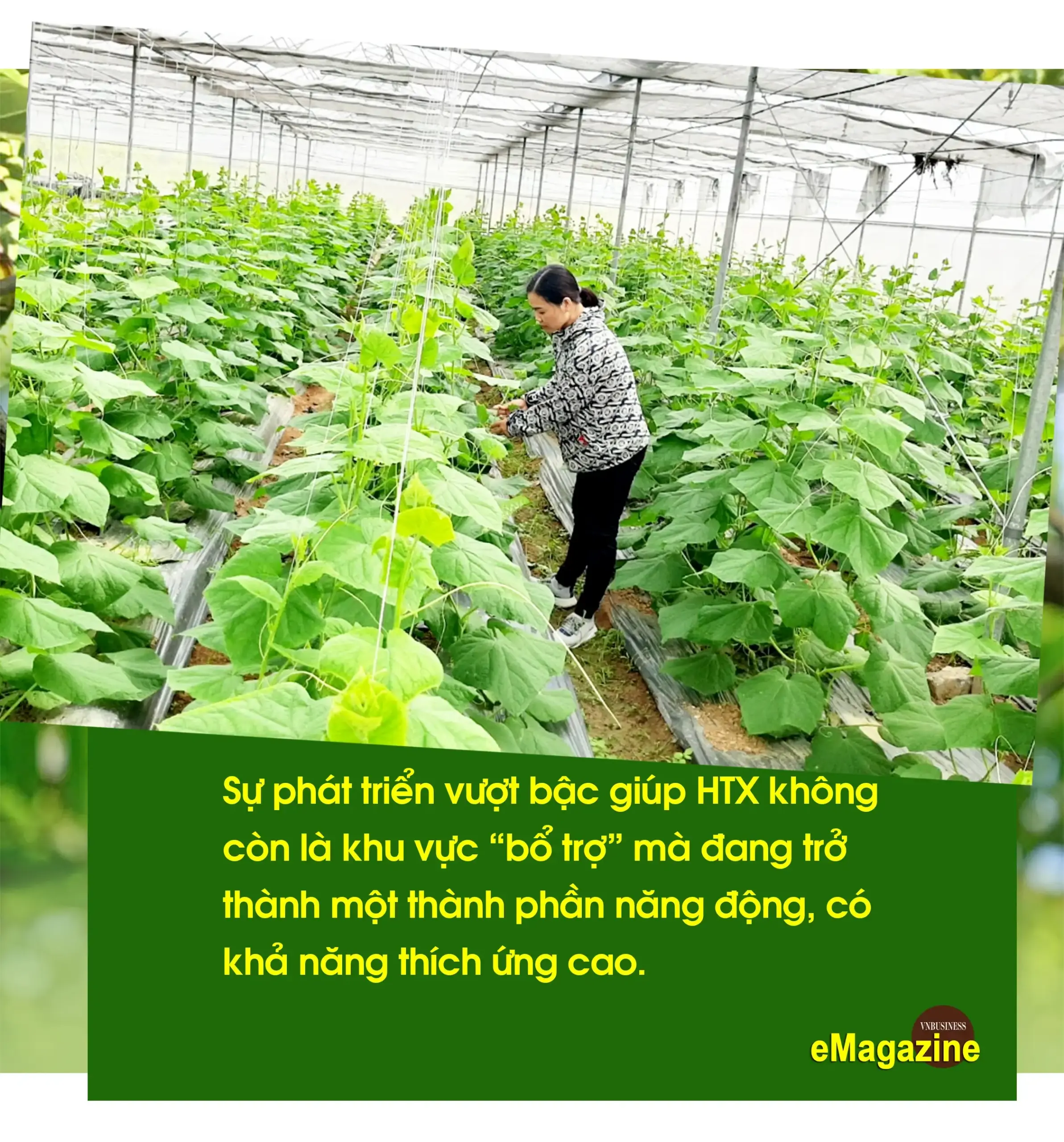 HTX trên đất mỏ và bước chuyển trong tư duy “liên kết trí tuệ”