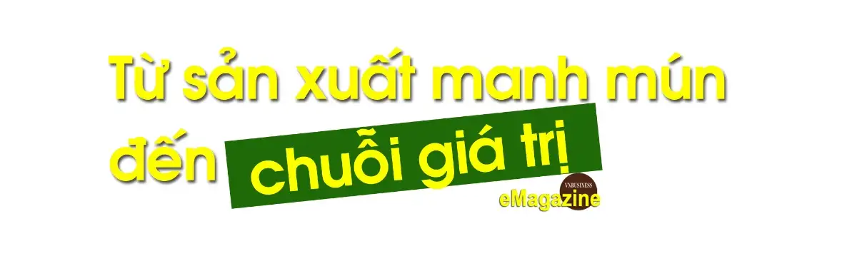HTX trên đất mỏ và bước chuyển trong tư duy “liên kết trí tuệ”
