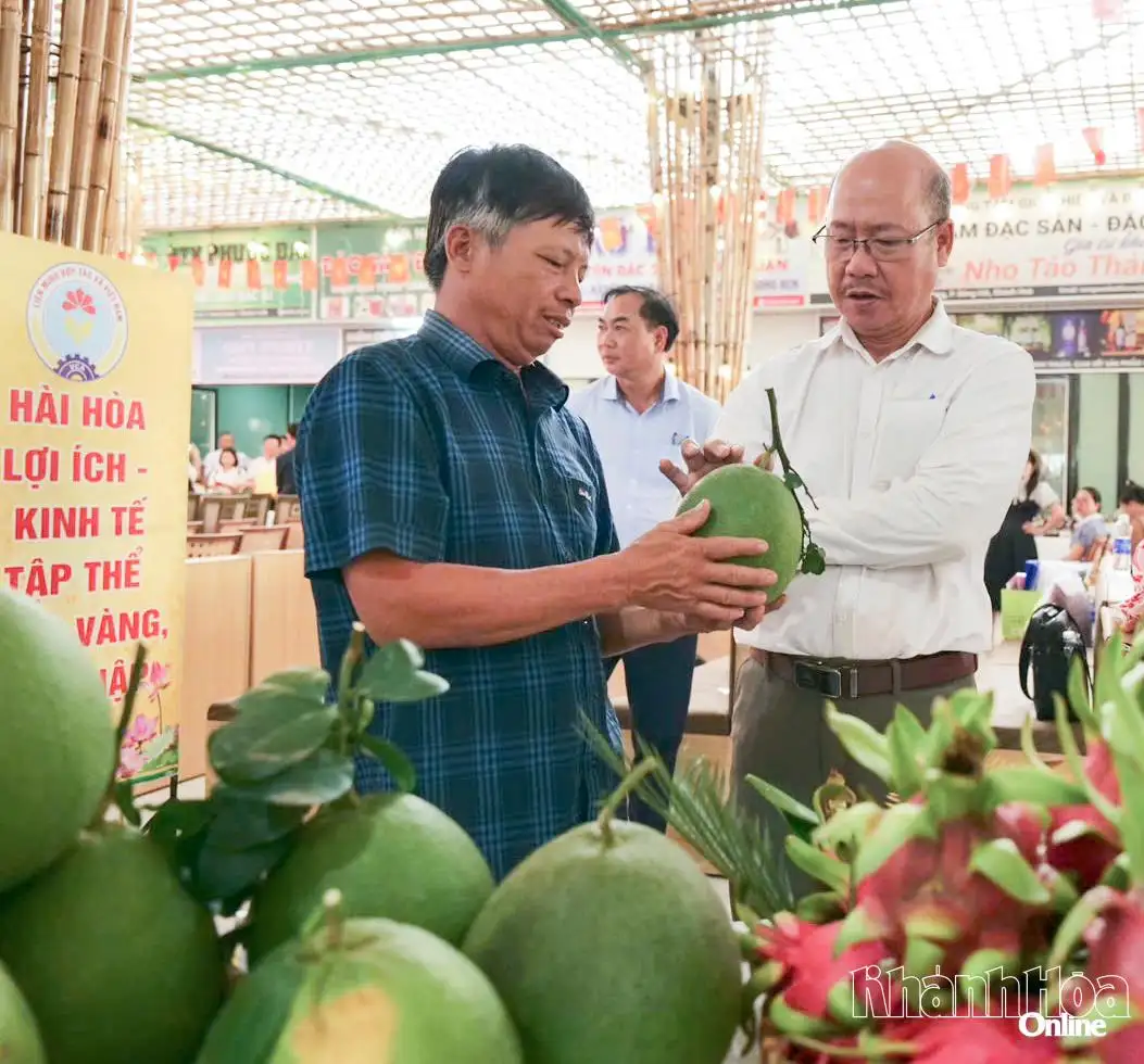 Kết nối, mở rộng thị trường nông sản