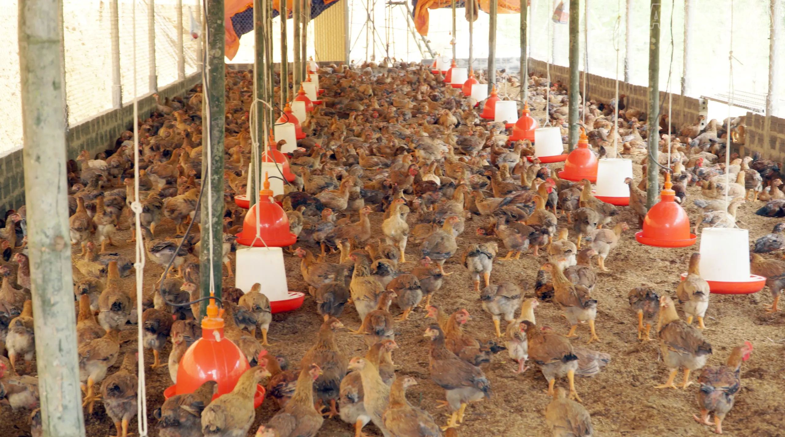 Khánh Hòa: Thực hiện 2 khâu đột phá để phát triển