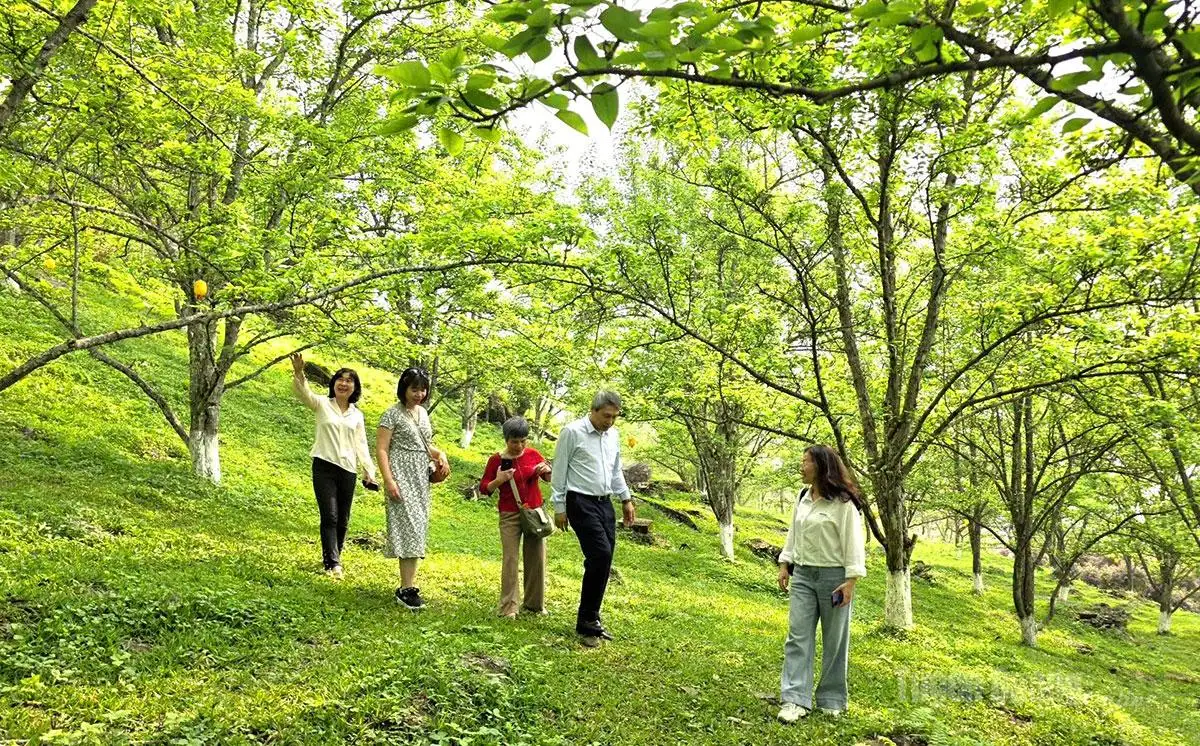 Khảo sát phát triển du lịch nông nghiệp xanh tại Tuyên Quang