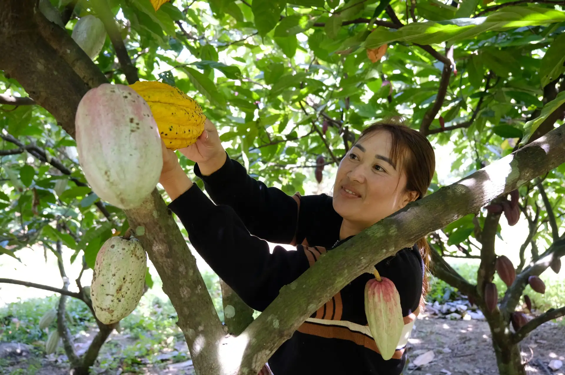 Khi đồng bào chung sức xây dựng nông thôn mới