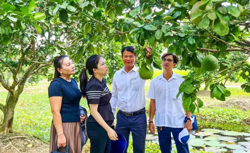 Khi trợ lực trở thành động lực phát triển HTX