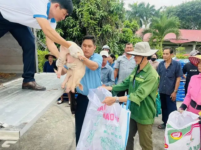 Khi trợ lực trở thành động lực phát triển HTX