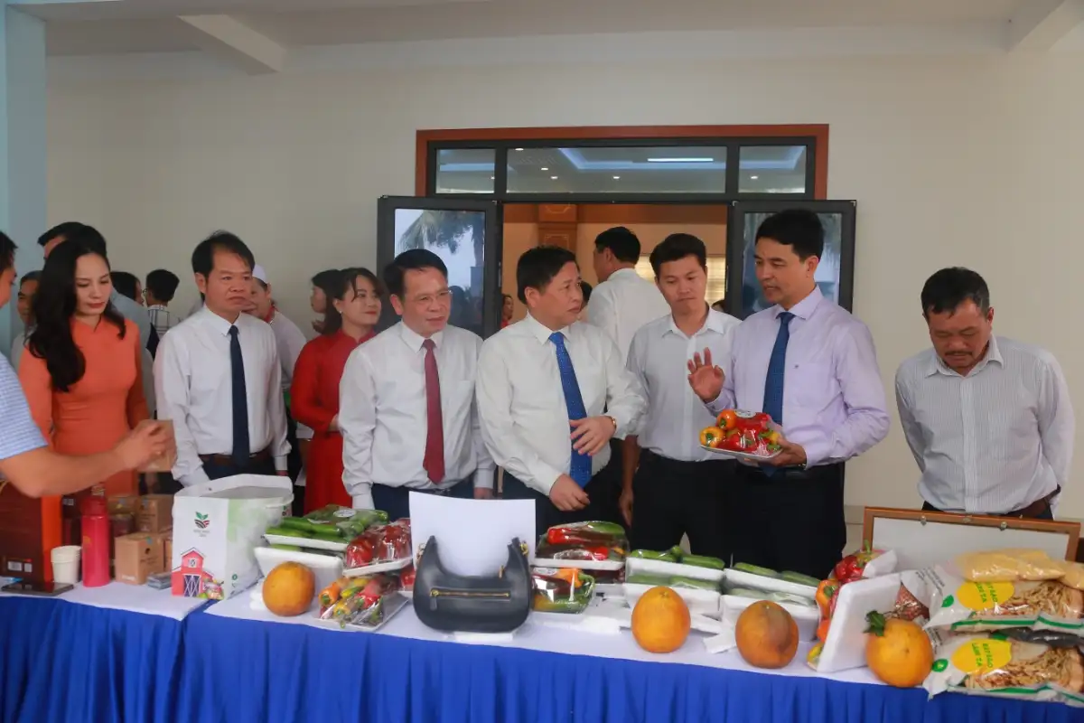 Kinh tế tập thể Phú Thọ và khát vọng bứt phá trong kỷ nguyên mới