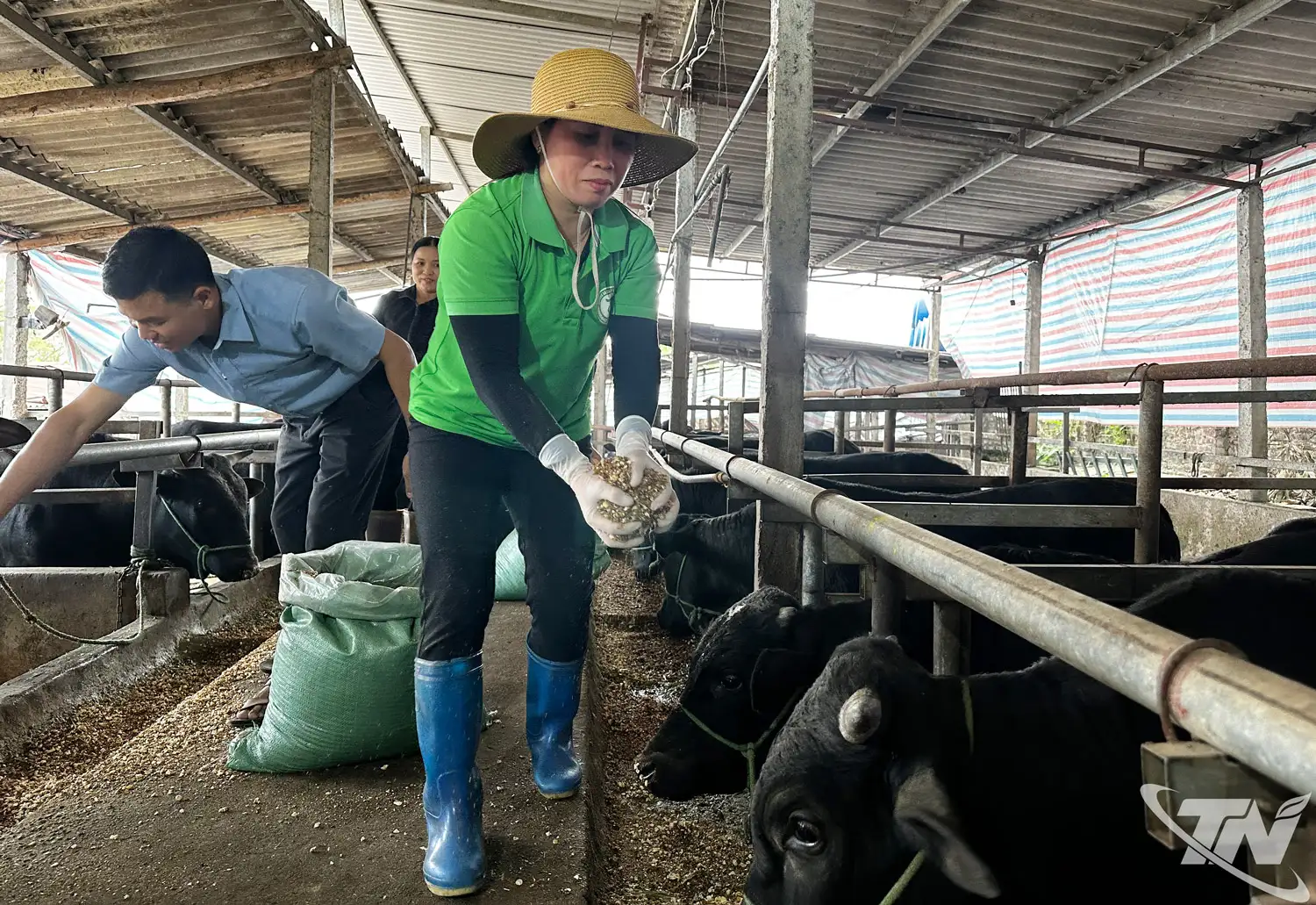 Kinh tế tập thể tạo đà phát triển