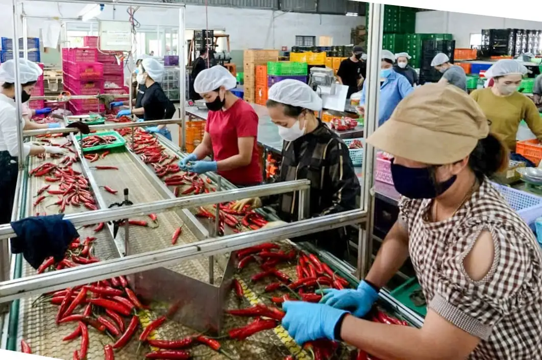 Kỳ vọng Blockchain và Big Data trở thành “căn cước” cho nông sản