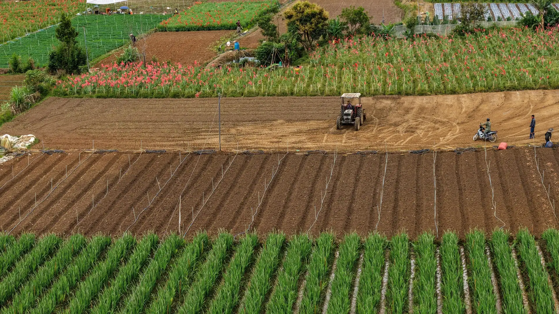 Kỳ vọng Blockchain và Big Data trở thành “căn cước” cho nông sản