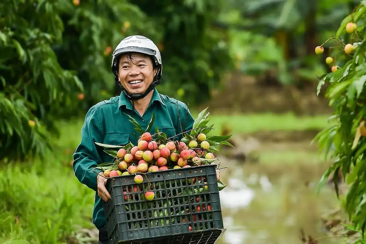 Kỳ vọng và bài toán phát triển bền vững