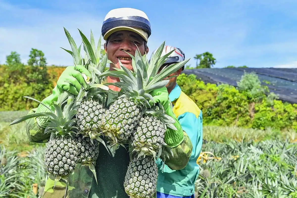 Kỳ vọng và bài toán phát triển bền vững