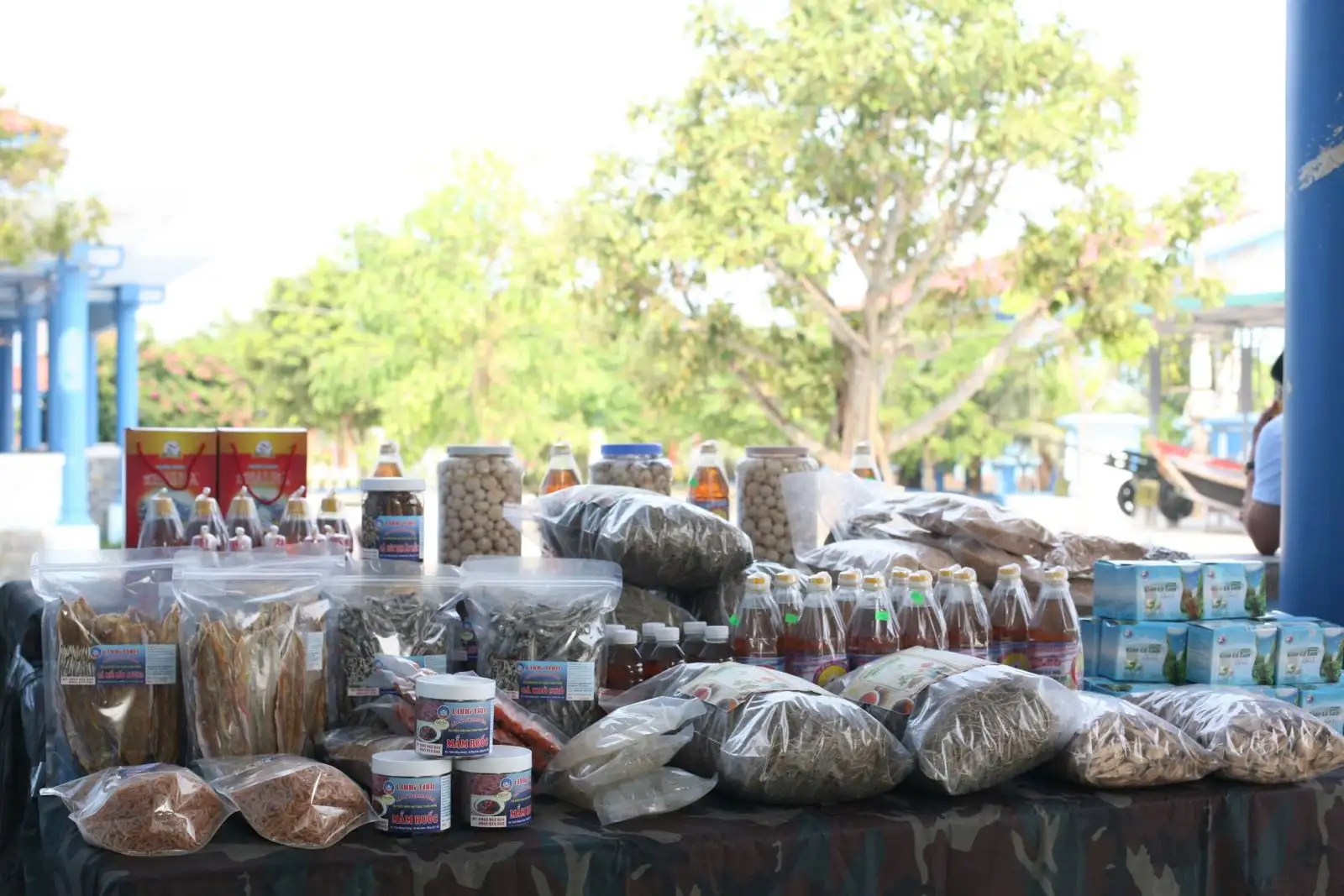 Lan tỏa giá trị đặc khu Cồn Cỏ phát triển du lịch xanh bền vững