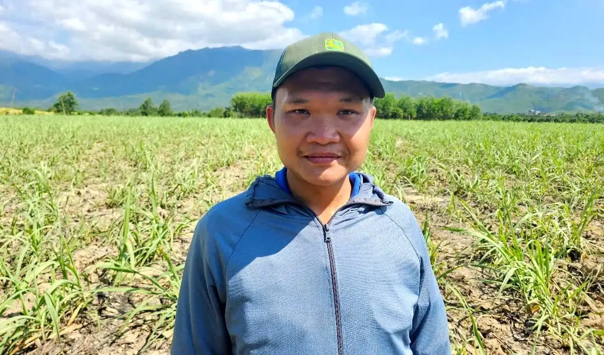 Liên kết trồng mía: Đột phá năng suất nhờ cơ giới hóa