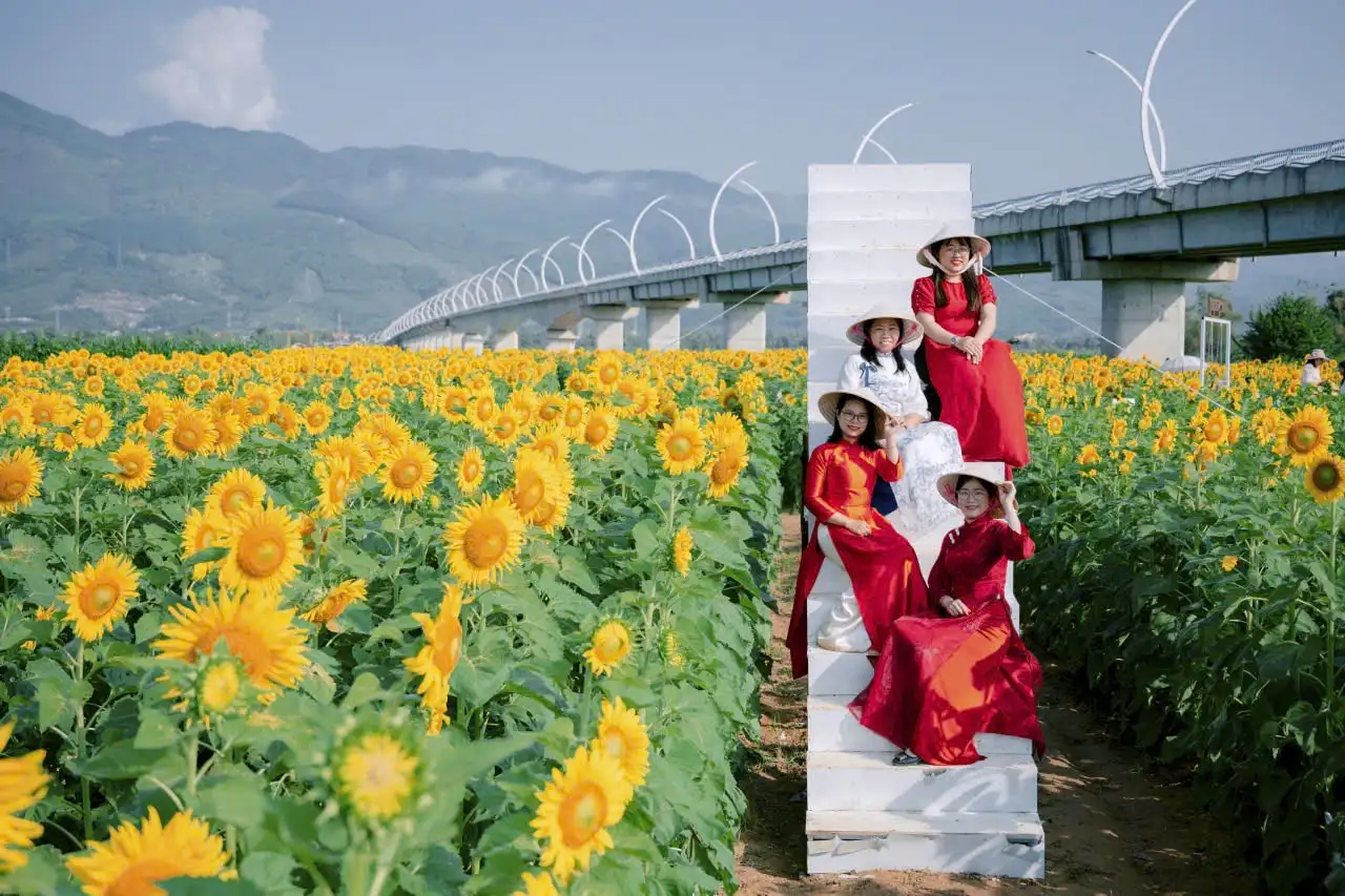 Mạnh dạn thử nghiệm mô hình sản xuất nông nghiệp mới