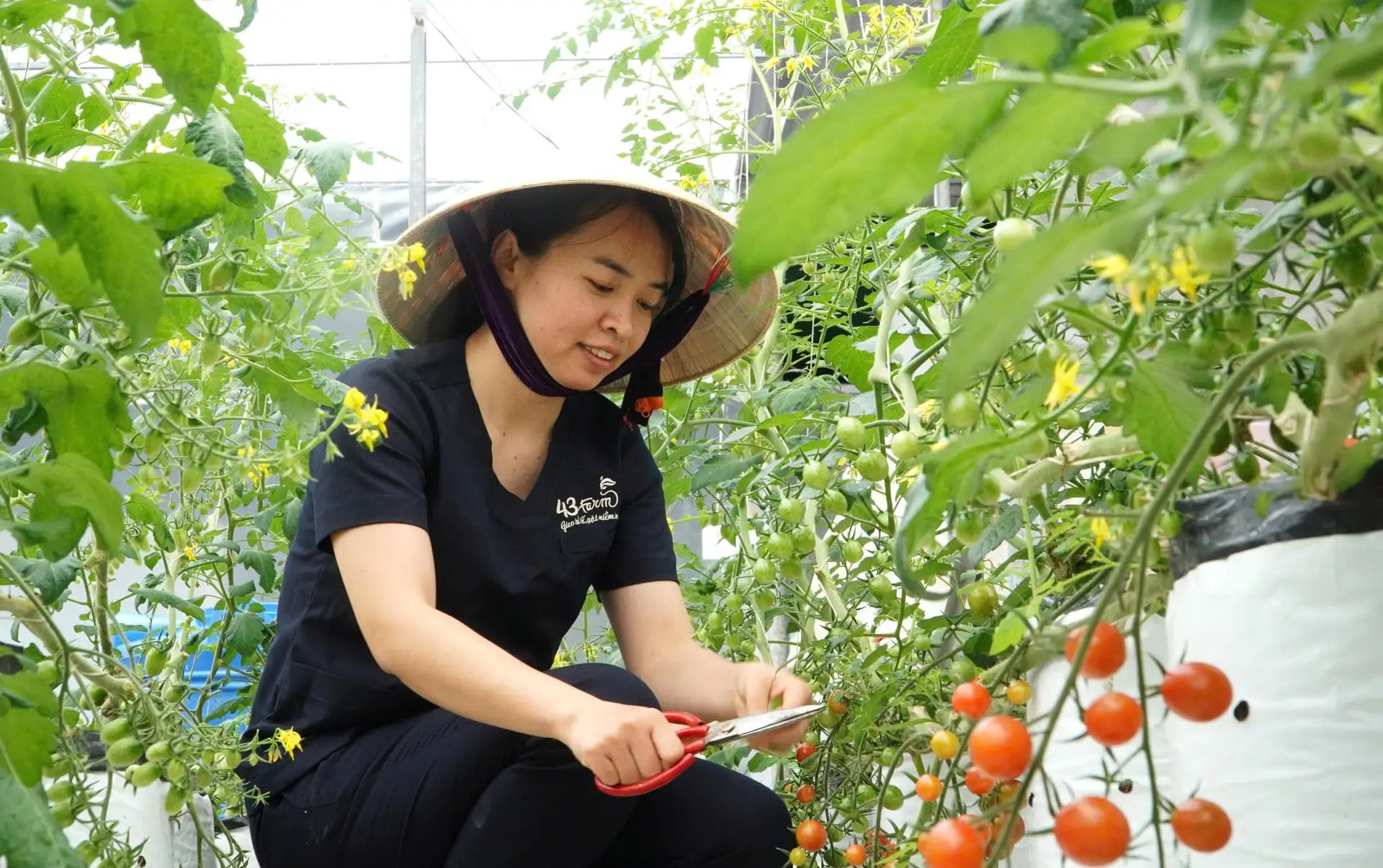 Mạnh dạn thử nghiệm mô hình sản xuất nông nghiệp mới