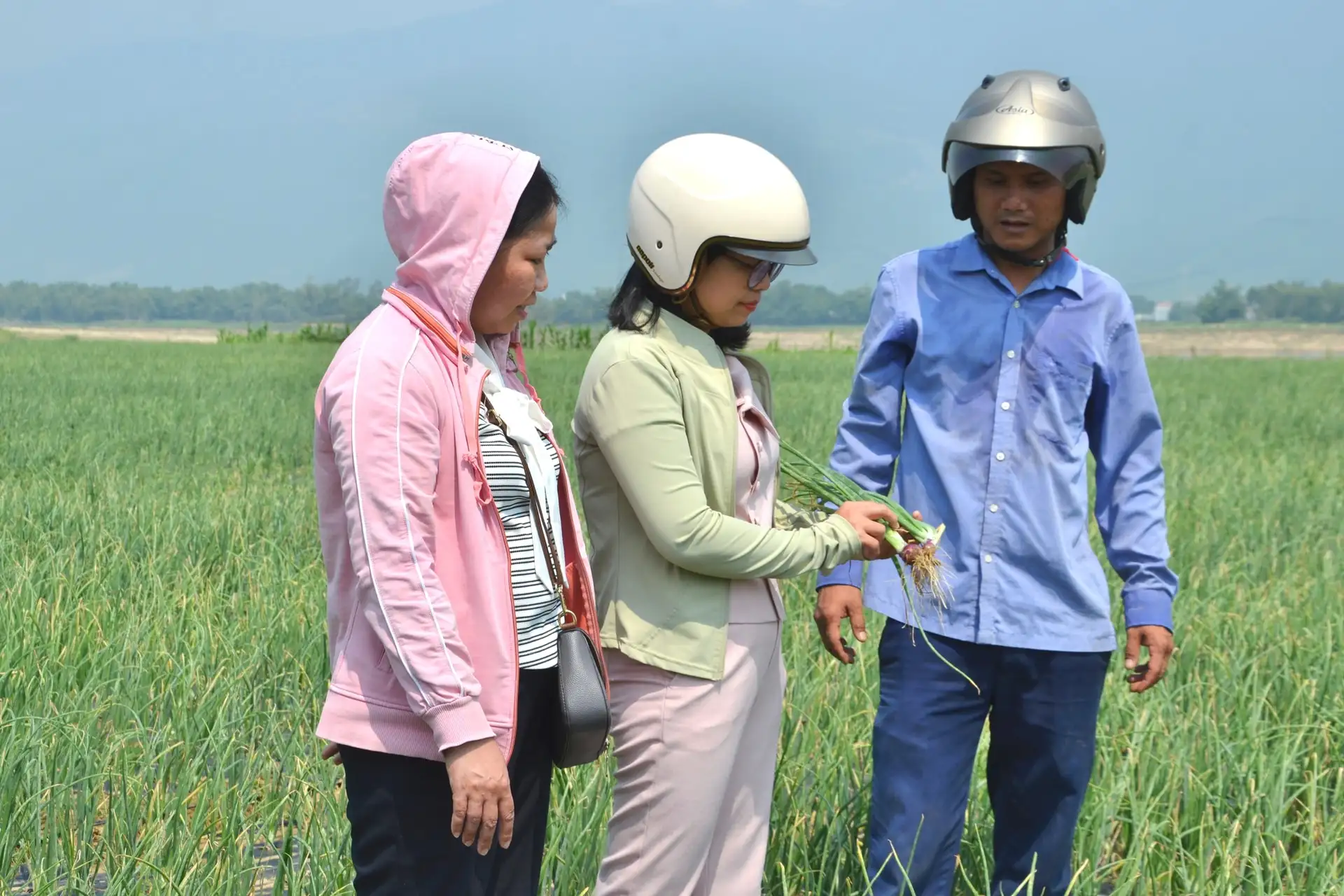 Mạnh dạn thử nghiệm mô hình sản xuất nông nghiệp mới