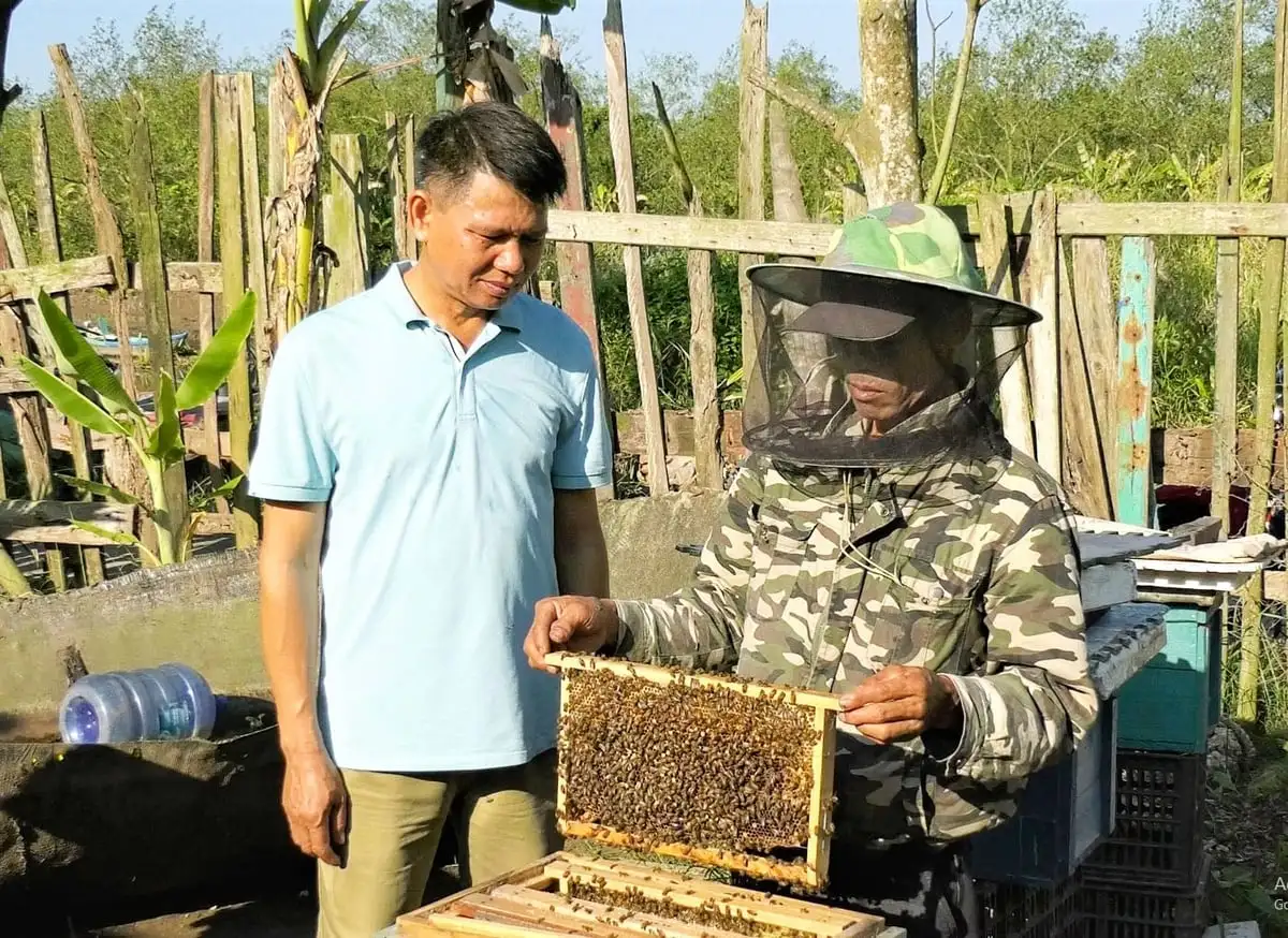 Mật ngọt dưới những tán rừng ngặp mặn