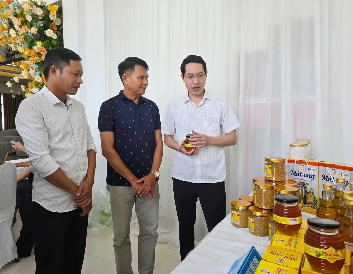 Mật ngọt dưới những tán rừng ngặp mặn