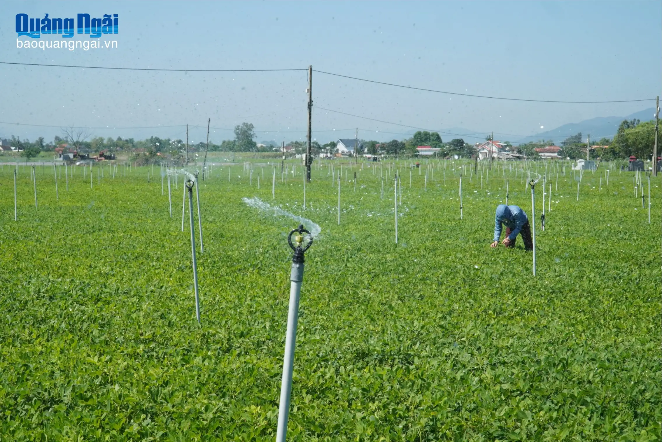 Nâng cao chất lượng nông thôn mới
