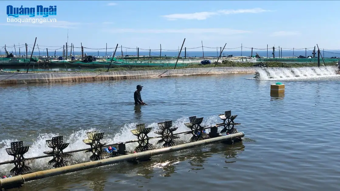 Nâng cao chất lượng nông thôn mới