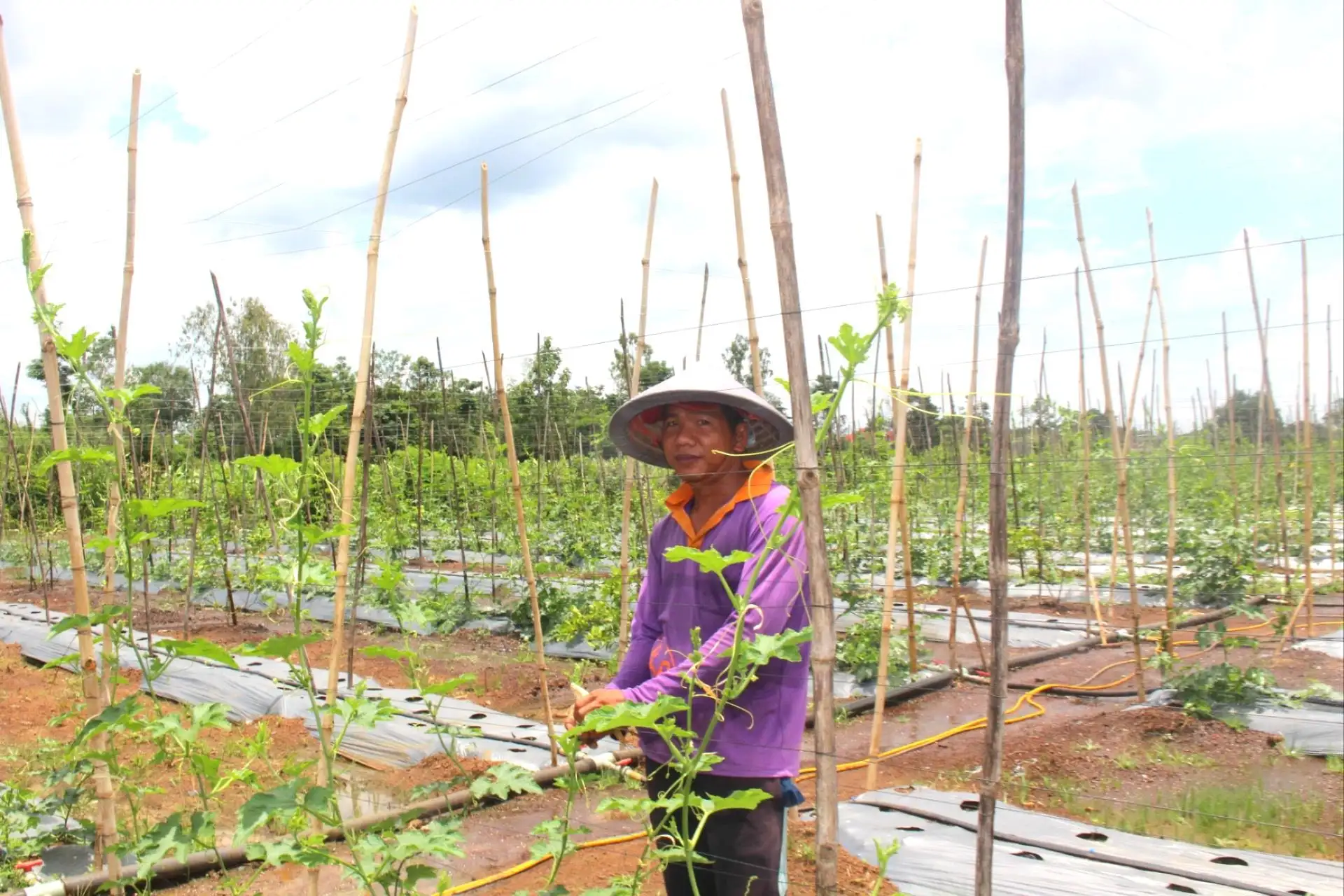 Nâng chất lượng xây dựng nông thôn mới tại Lâm Ðồng