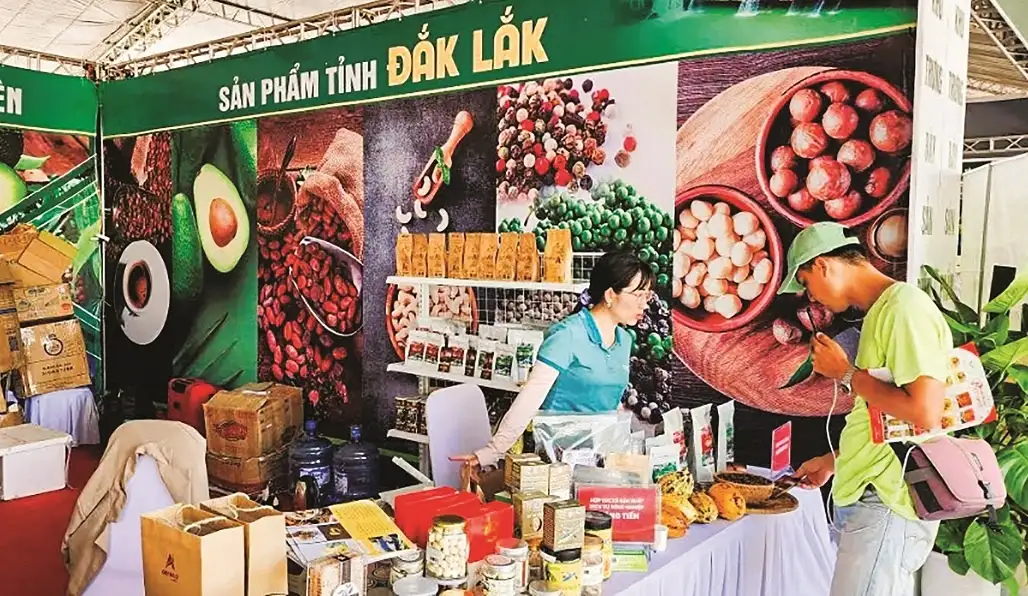 Năng suất kinh tế nông thôn: Không thể chỉ dựa vào hỗ trợ 06:42 04/04/2026