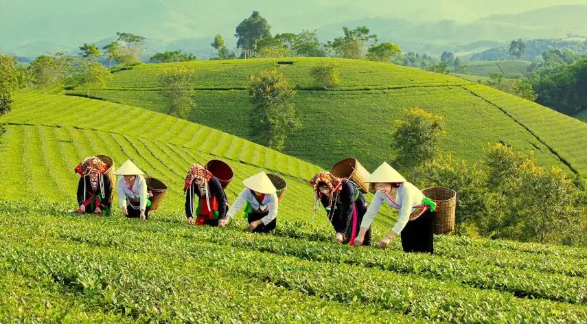 Năng suất kinh tế nông thôn: Không thể chỉ dựa vào hỗ trợ 06:42 04/04/2026