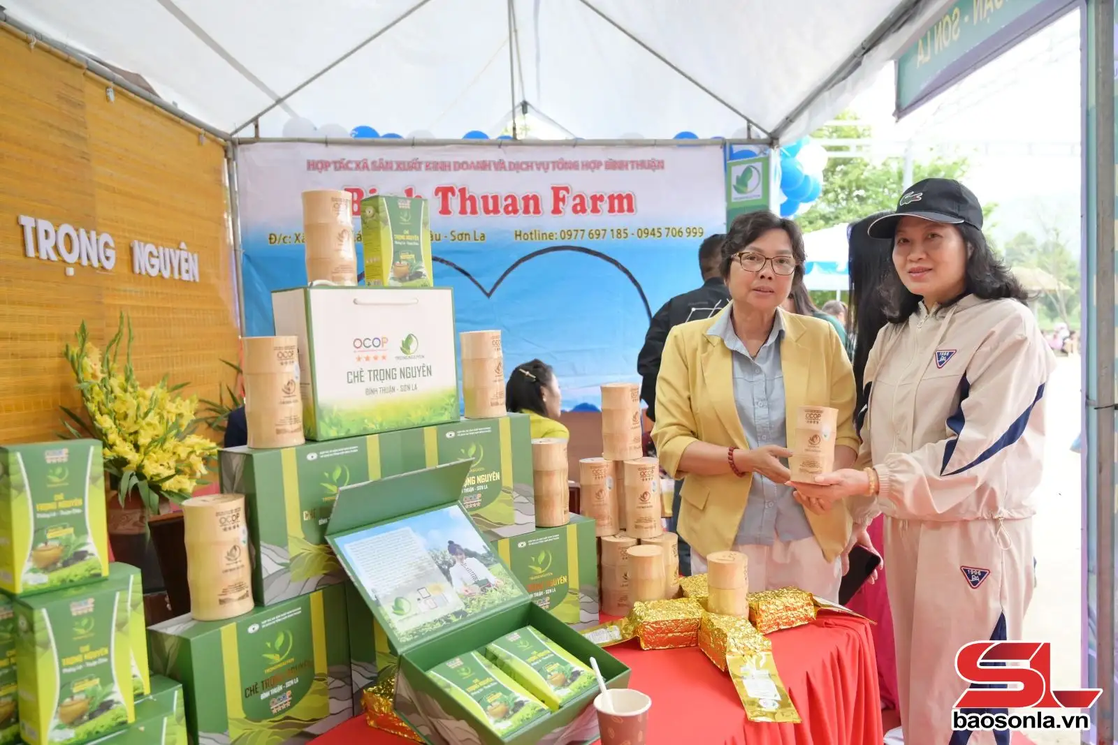 Nâng tầm giá trị cây chè vùng cao