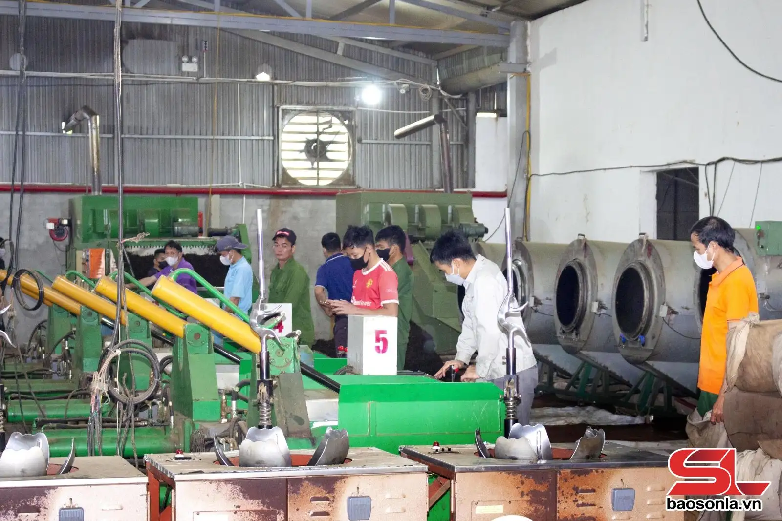 Nâng tầm giá trị cây chè vùng cao