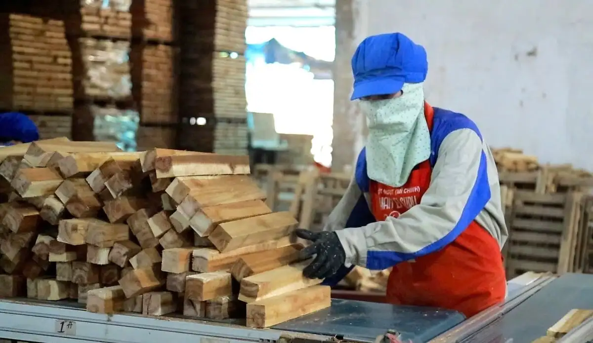 Nghệ An gắn bảo vệ rừng với phát triển sinh kế cho người dân