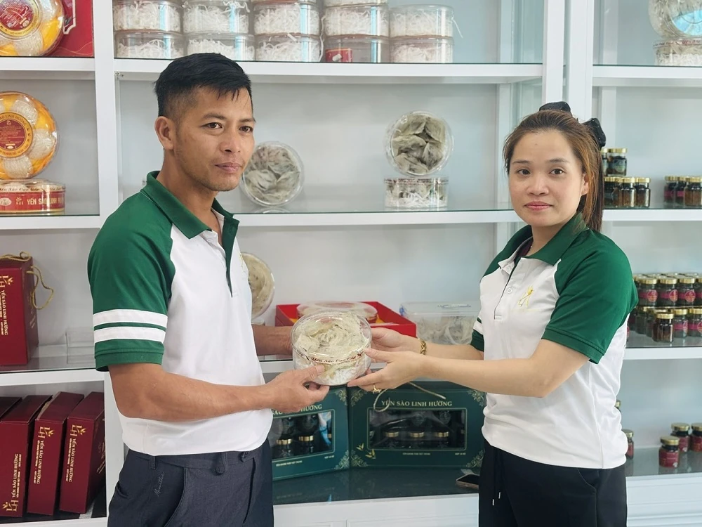 Người “gọi” những đàn yến về làm tổ trên đất Quảng Bình