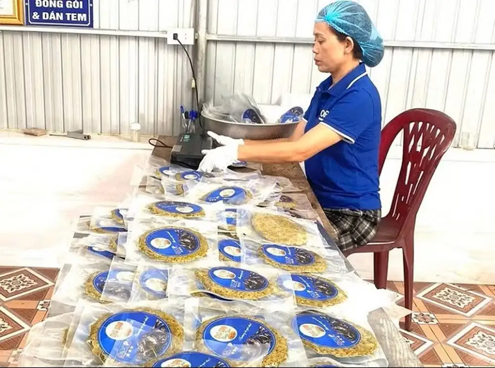 Người phụ nữ xứ Nghệ “đánh thức hồn quê” qua món chả dam OCOP