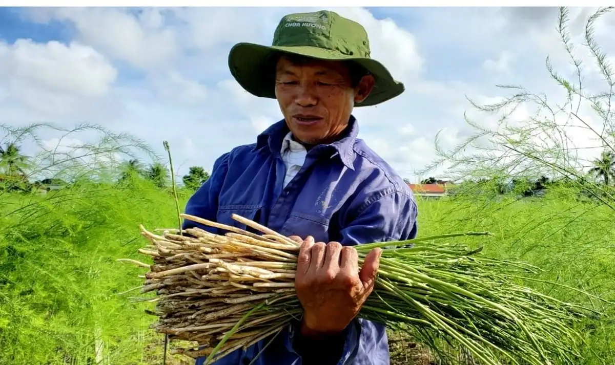 Nguồn vốn chính sách lan tỏa, nông dân vững bước làm giàu