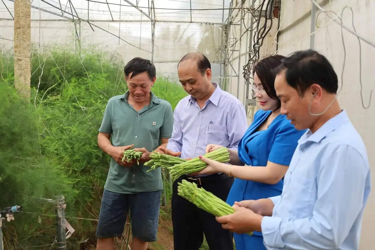 Nguồn vốn chính sách lan tỏa, nông dân vững bước làm giàu