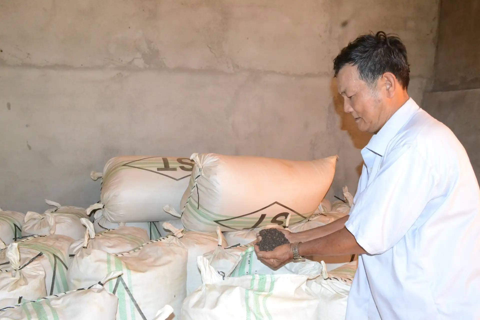 Nhân Cơ đẩy mạnh phát triển nông nghiệp công nghệ cao