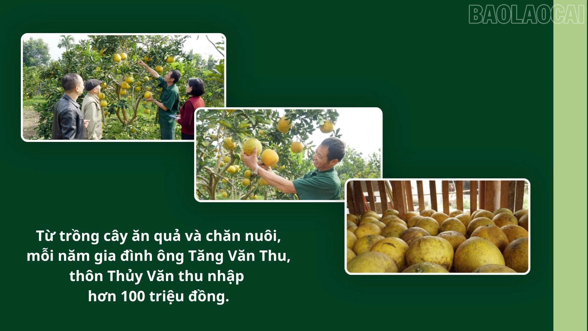 Nông thôn khởi sắc từ khai thác tiềm năng, thế mạnh