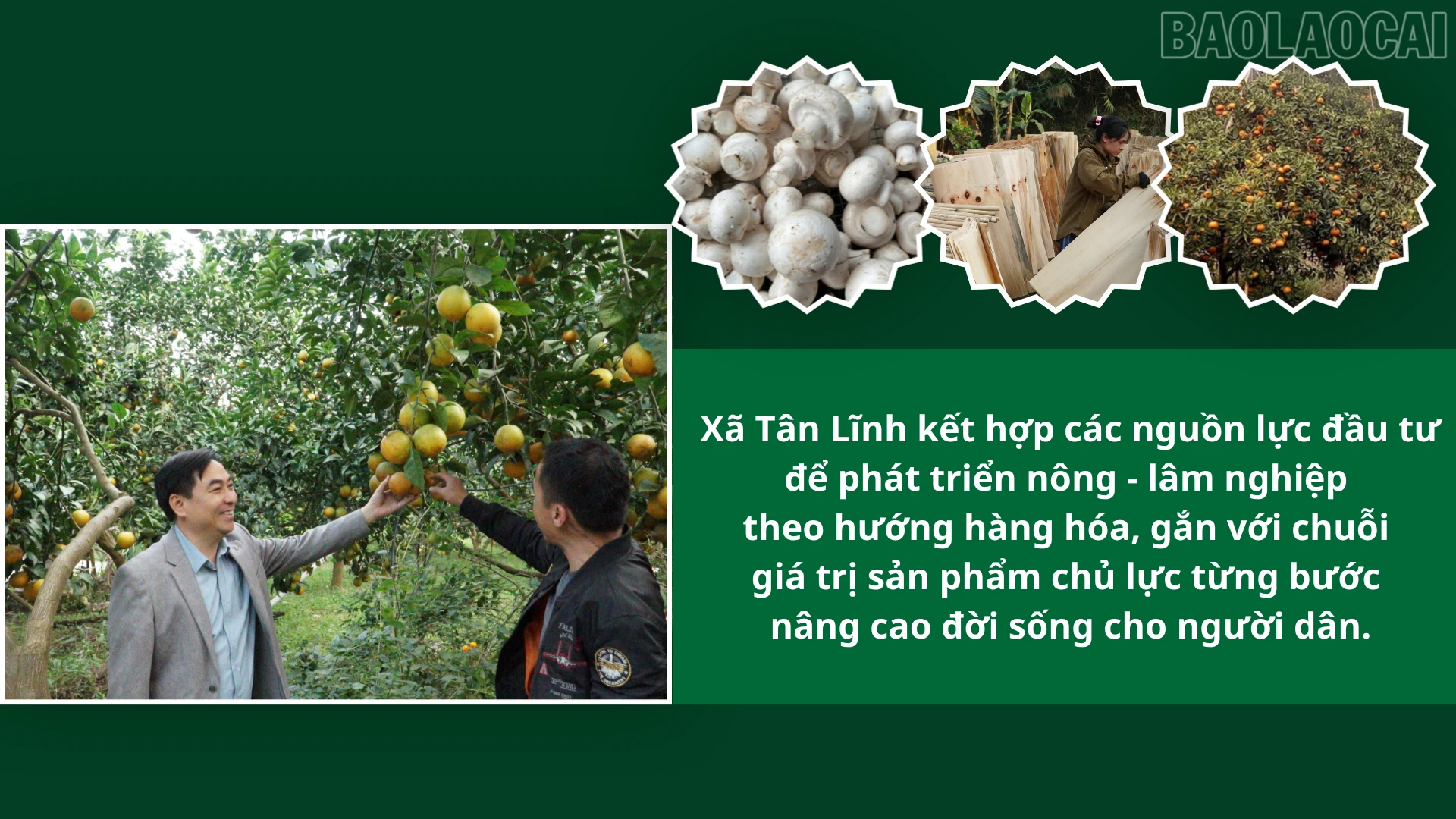 Nông thôn khởi sắc từ khai thác tiềm năng, thế mạnh