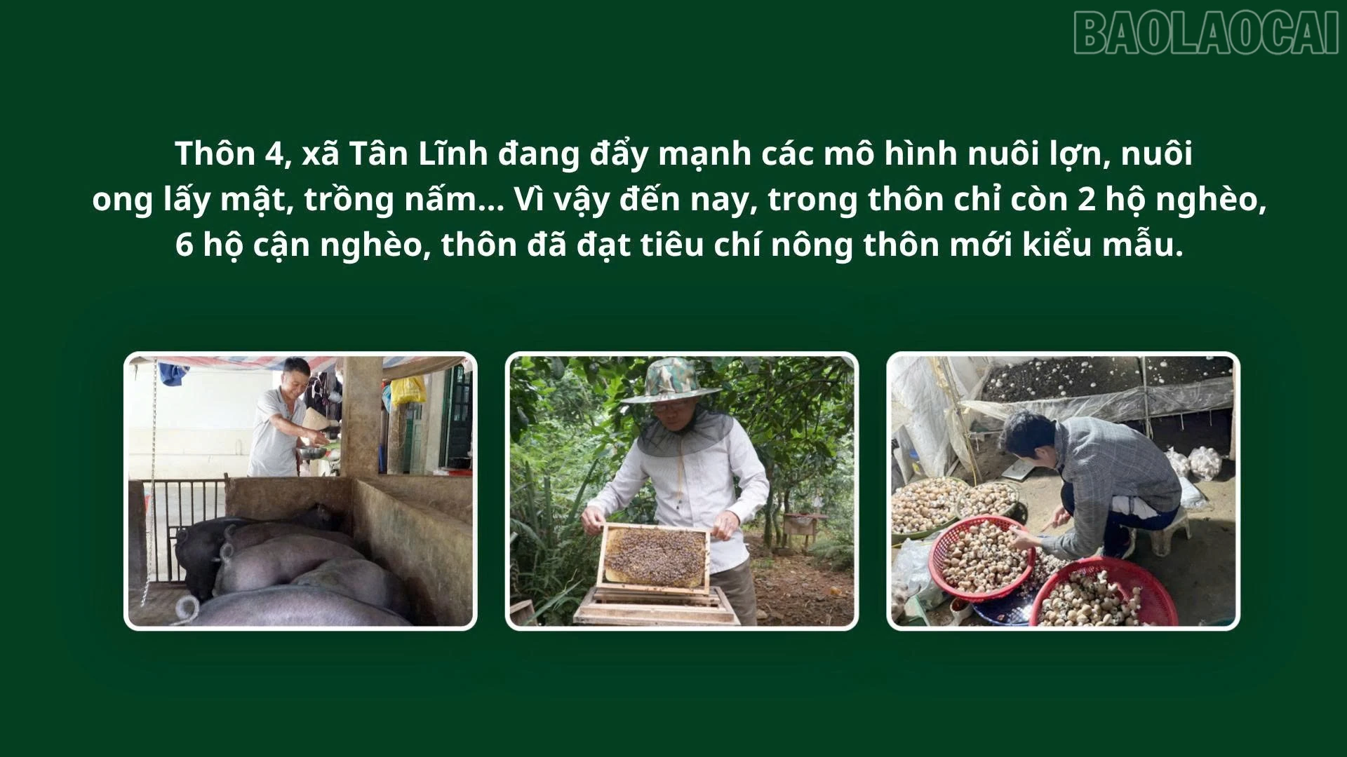 Nông thôn khởi sắc từ khai thác tiềm năng, thế mạnh
