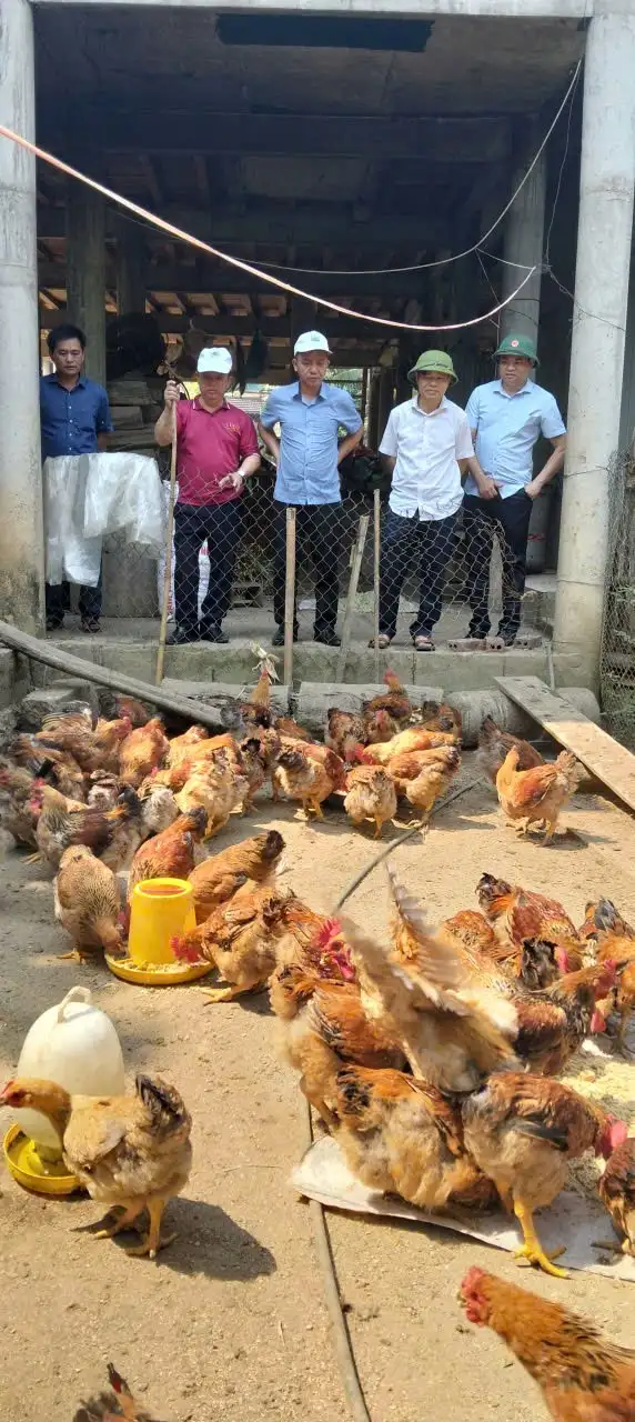 Chi cục Kinh tế hợp tác và Phát triển nông thôn Nghệ An kiểm tra việc thực hiện chương trình mục tiêu Quốc gia giảm nghèo bền vững năm 2025