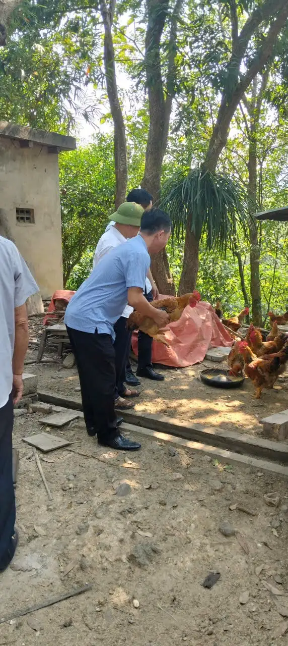 Chi cục Kinh tế hợp tác và Phát triển nông thôn Nghệ An kiểm tra việc thực hiện chương trình mục tiêu Quốc gia giảm nghèo bền vững năm 2025