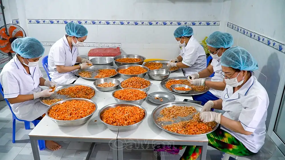 OCOP – Đòn bẩy nâng tầm sản phẩm, thúc đẩy kinh tế nông thôn