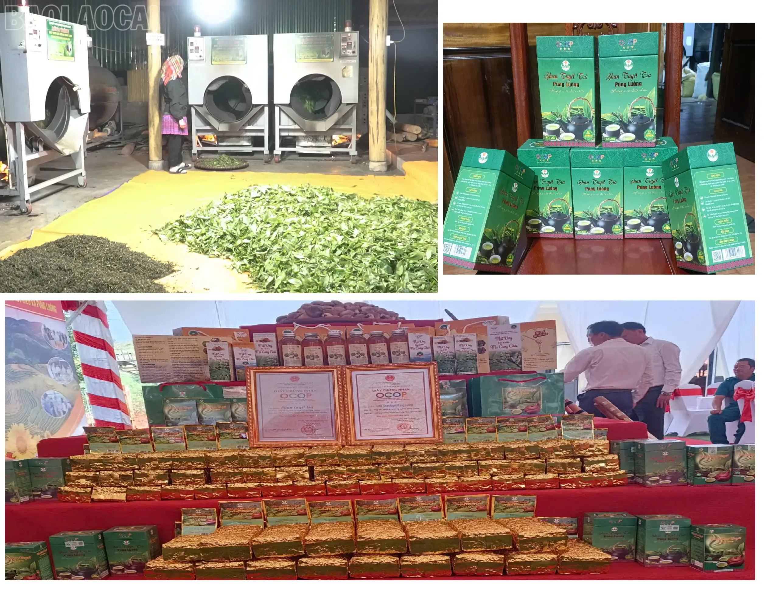 OCOP – mở rộng cơ hội cho phụ nữ và đồng bào vùng cao