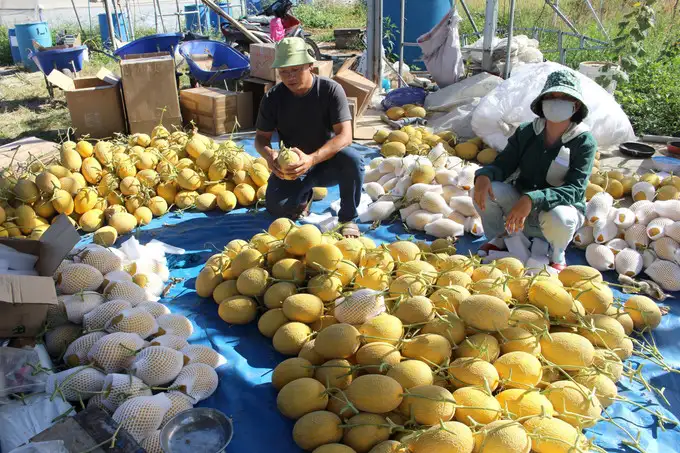 Phát huy hiệu quả các chính sách giảm nghèo bền vững cho vùng dân tộc thiểu số