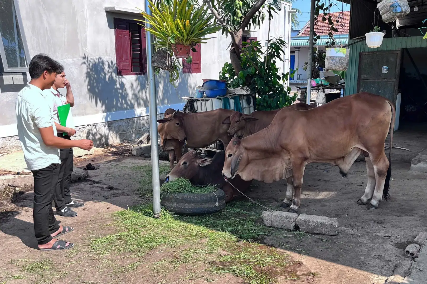 Phát triển kinh tế vùng DTTS từ cách trao “cần câu”