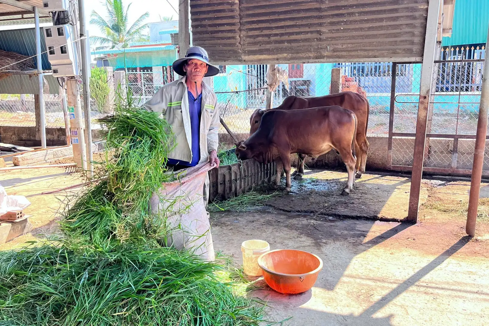 Phát triển kinh tế vùng DTTS từ cách trao “cần câu”