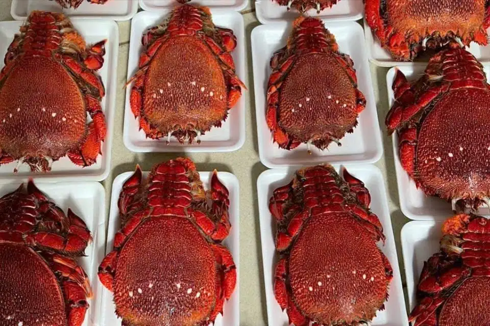 Phát triển sở hữu trí tuệ các sản phẩm lợi thế