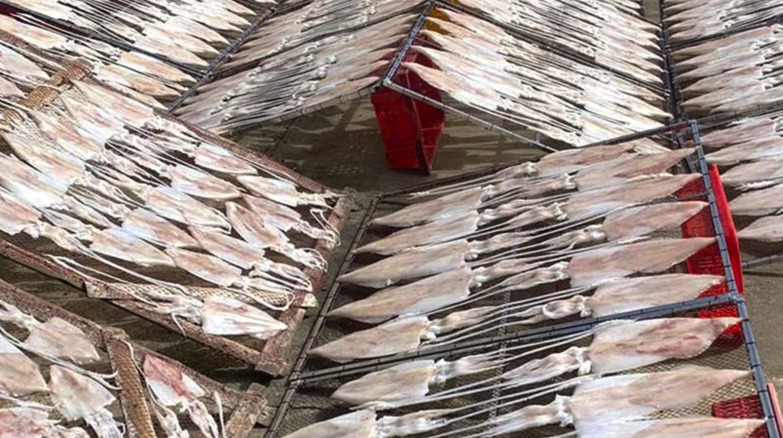 Quảng Trị dành hơn 50 tỉ đồng cho hoạt động xúc tiến thương mại, phát triển thương hiệu hàng hóa