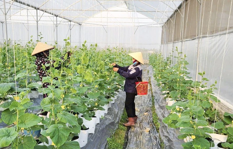 Quảng Trị tăng tốc xúc tiến thương mại, mở rộng thị trường